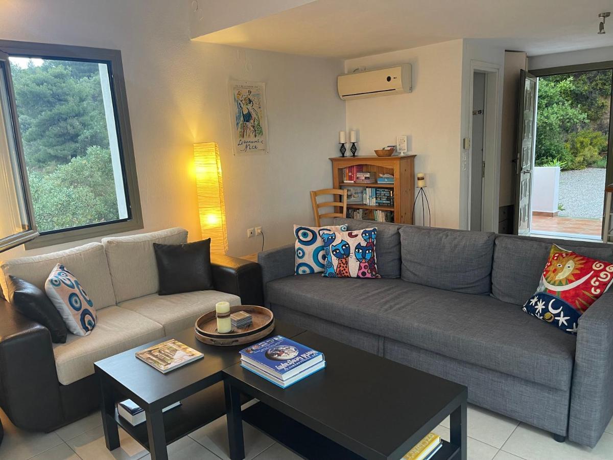 Skiathos Seaview Villa With Pool Punta 外观 照片