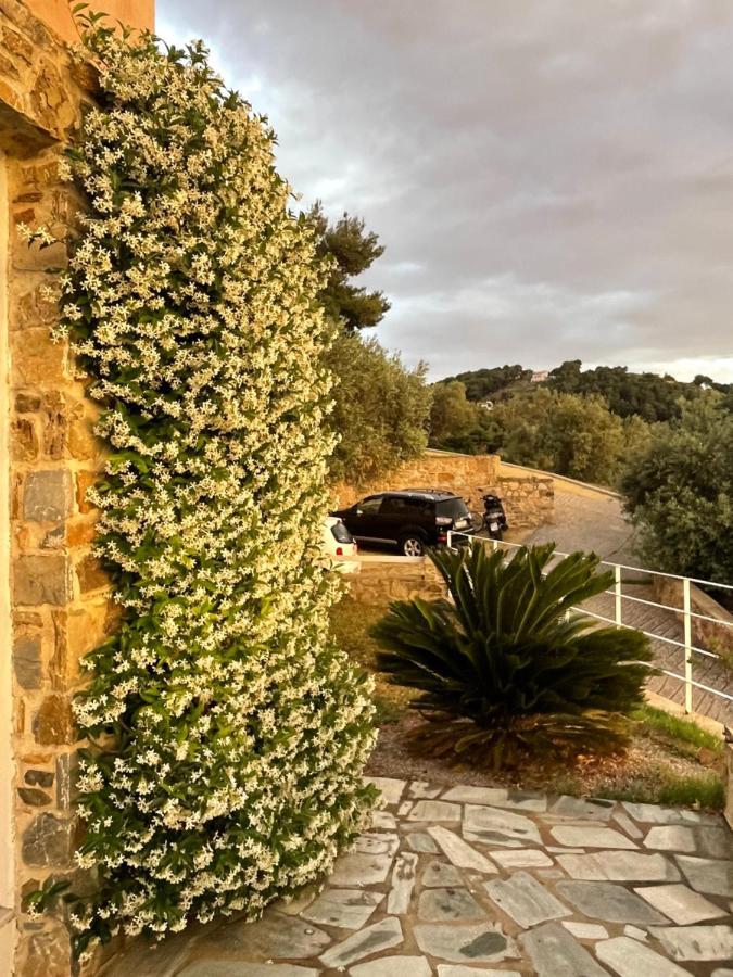 Skiathos Seaview Villa With Pool Punta 外观 照片