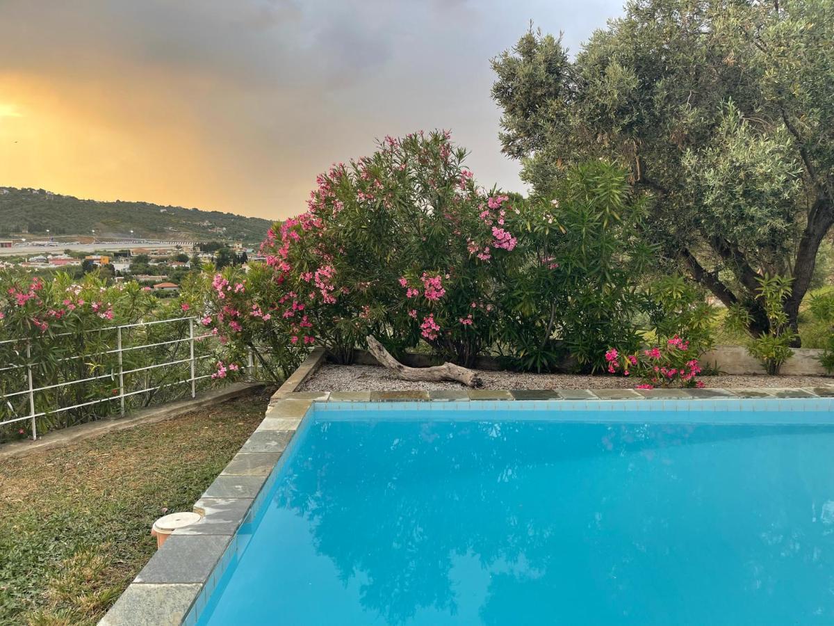 Skiathos Seaview Villa With Pool Punta 外观 照片