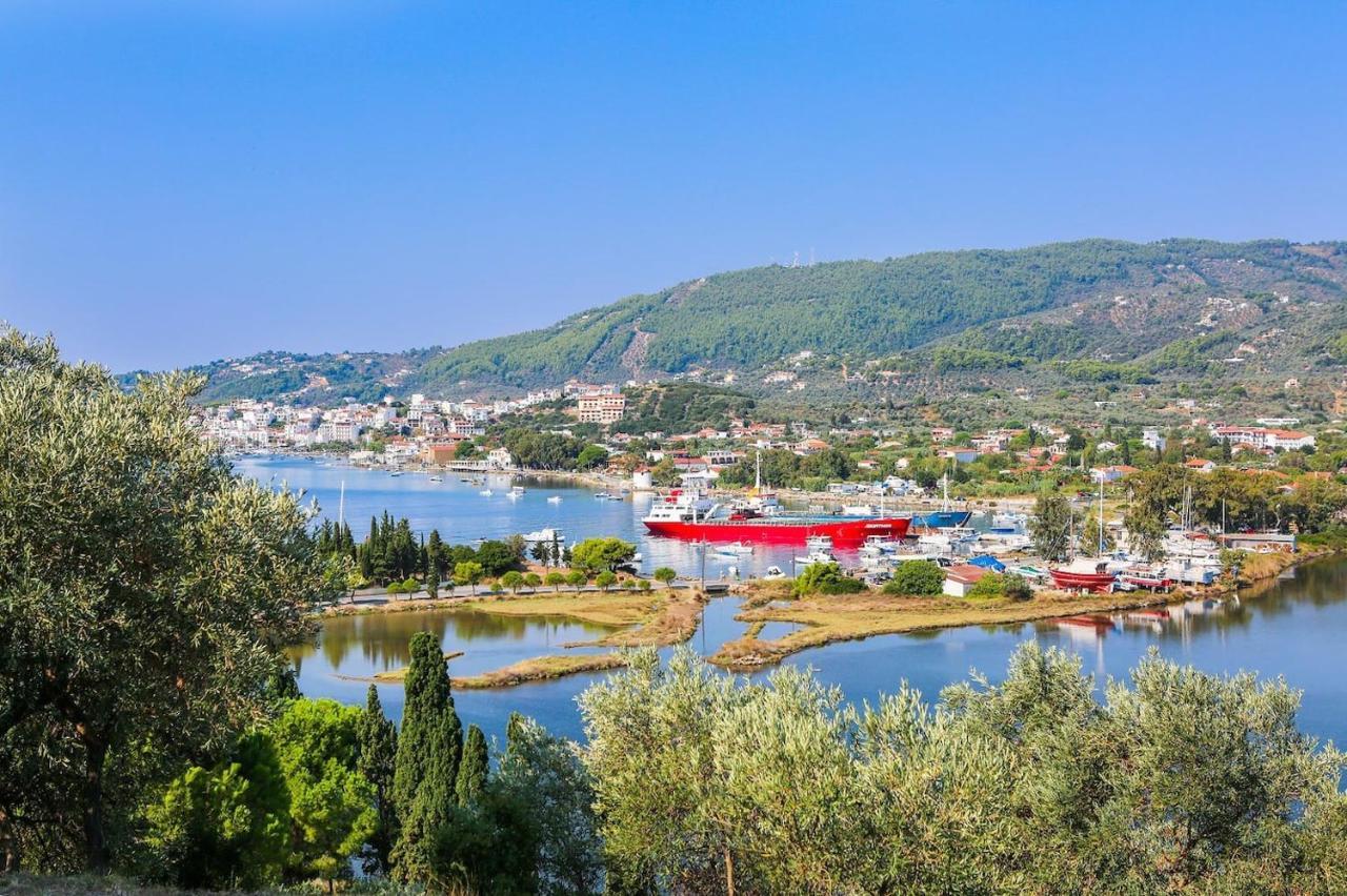 Skiathos Seaview Villa With Pool Punta 外观 照片